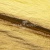 Текстильный материал "Диско"#1805 с покрытием РЕТ, 40гр/м2, 100% полиэстер, цв.5-золото - купить в Туле. Цена 412.36 руб.