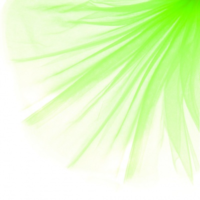 Фатин матовый 16-142, 12 гр/м2, шир.300см, цвет неон.зелёный - купить в Туле. Цена 100.92 руб.