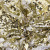 Трикотажное полотно, Сетка с пайетками, шир.130 см, #315, цв.-белый/золото - купить в Туле. Цена 693.39 руб.