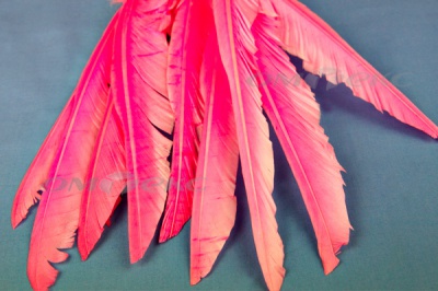 Декоративный Пучок из перьев, перо 25см/розовый - купить в Туле. Цена: 14.40 руб.