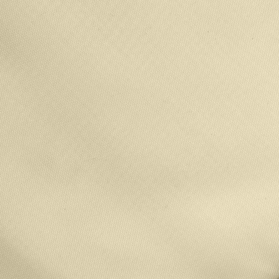 Ткань подкладочная Таффета 14-1014, антист., 53 гр/м2, шир.150см, цвет бежевый - купить в Туле. Цена 62.37 руб.