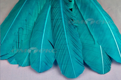 Декоративный Пучок из перьев, перо 24см/голубой - купить в Туле. Цена: 12.19 руб.