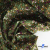 Ткань костюмная «Микровельвет велюровый принт», 220 г/м2, 97% полиэстр, 3% спандекс, ш. 150См Цв  #9 - купить в Туле. Цена 444.24 руб.