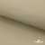 Ткань подкладочная TWILL 230T 14-1108, беж светлый 100% полиэстер,66 г/м2, шир.150 cм - купить в Туле. Цена 90.59 руб.