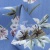 Плательная ткань "Фламенко" 12.1, 80 гр/м2, шир.150 см, принт растительный - купить в Туле. Цена 241.49 руб.