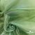 Ткань органза, 100% полиэстр, 28г/м2, шир. 150 см, цв. #27 зеленый - купить в Туле. Цена 86.24 руб.