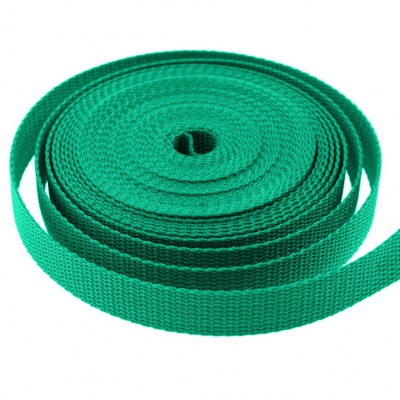 Стропа текстильная, шир. 25 мм (в нам. 50+/-1 ярд), цвет яр.зелёный - купить в Туле. Цена: 397.52 руб.