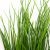 Трава искусственная -4, шт  (осока 50 см/8 см  7 листов)				 - купить в Туле. Цена: 130.73 руб.