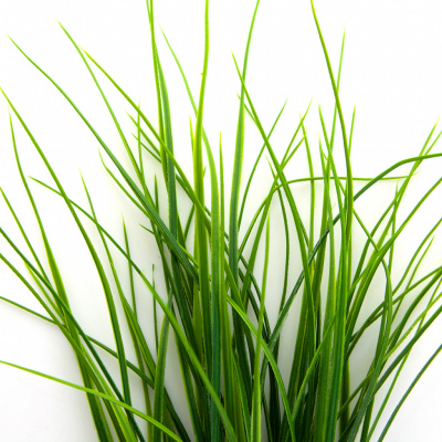 Трава искусственная -3, шт (осока 50 см/8 см  5 листов)				 - купить в Туле. Цена: 124.17 руб.