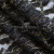 Кружевное полотно XD LACE 1-4, 80 гр/м2, шир.150см, цвет чёрный - купить в Туле. Цена 245.94 руб.